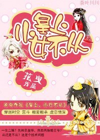皇上,小女不從