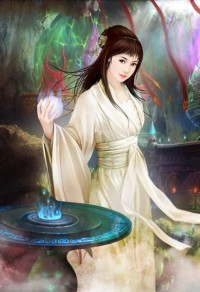 总裁的独家记忆